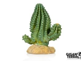 Cactus 1 13×7.5x15CM