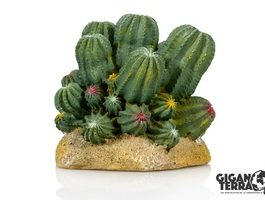 Cactus 2 12×10.5x11CM